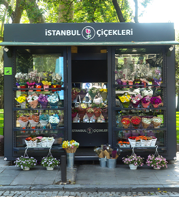 VEZNECİLER